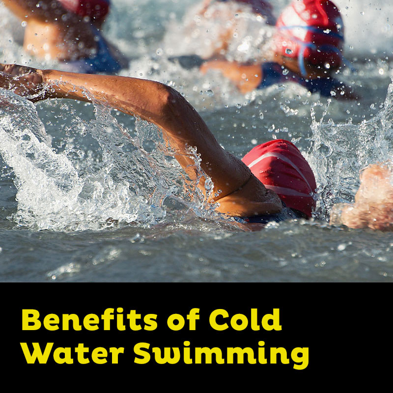 Benefits to Triathletes of Cold Water Swimming
